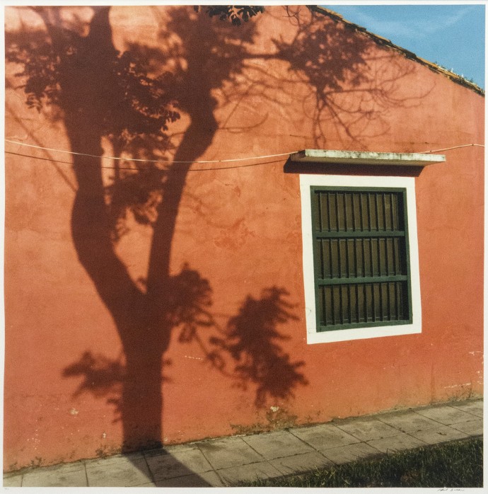 Tree Shadows on Red Walls 1/10