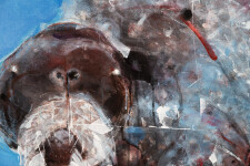 The walrus, an impressively large Arctic animal dominates the canvas in this expressive abstract painting by Rick Rivet. Image 4
