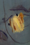 Yellow Lily Image 7
