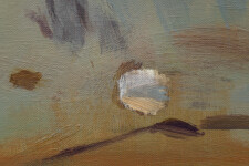 Spotted Pond Image 9