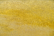 This contemporary painting captures a landscape in golden colors. Image 5