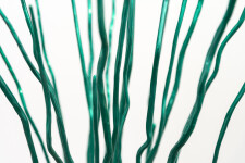 Interlace Green Image 13