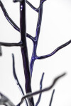 Shayne Dark’s contemporary sculptural work reflects the timeless beauty of nature. Image 8