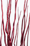 Interlace Crimson Red Image 6
