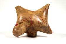 Shayne Dark has elevated the natural beauty of applewood burls by creating unique contemporary sculptures. Image 10