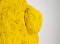 Yellow Matter Image 6