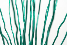 Interlace Green Image 12