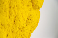 Yellow Matter Image 5