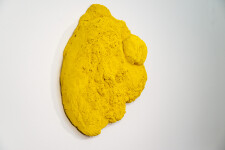 Yellow Matter Image 2