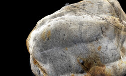 This unique contemporary outdoor sculpture inspired by nature is interactive. Image 5