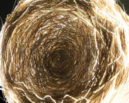 This unique contemporary outdoor sculpture inspired by nature is interactive. Image 5