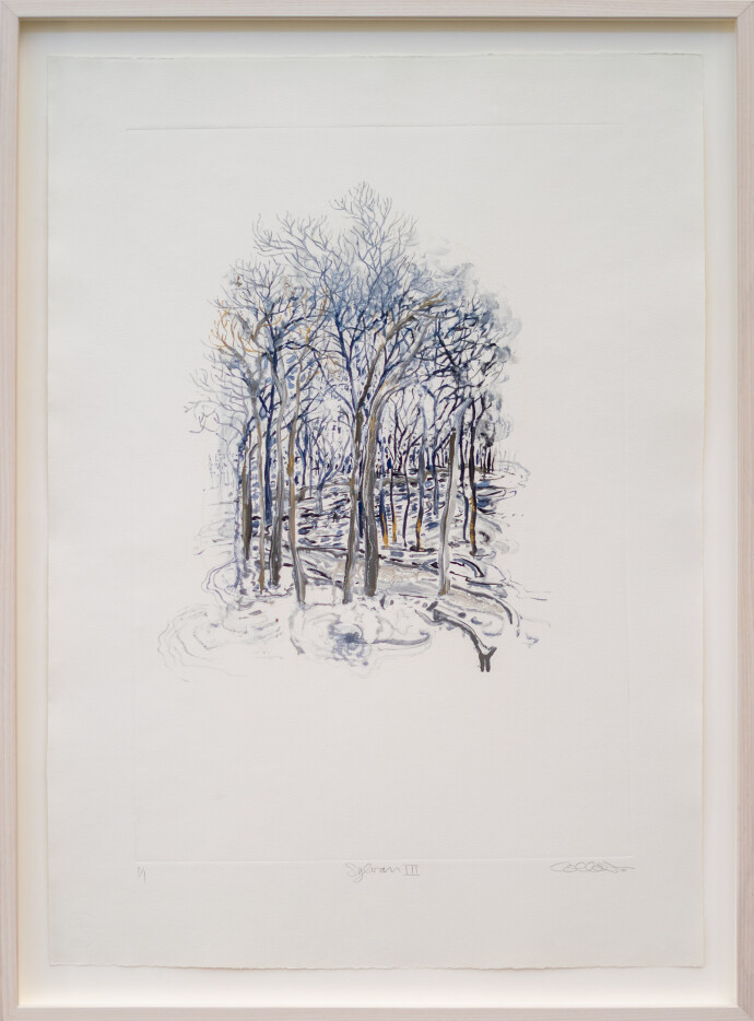 This unique nature print by Susan Collett features a sketch of the woods.