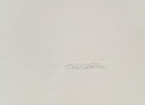 This unique nature print by Susan Collett features a sketch of the woods. Image 7