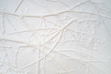 Parchment Series L Image 8