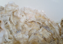 This contemporary sculptural indoor white porcelain vessel was made by Susan Collett. Image 12