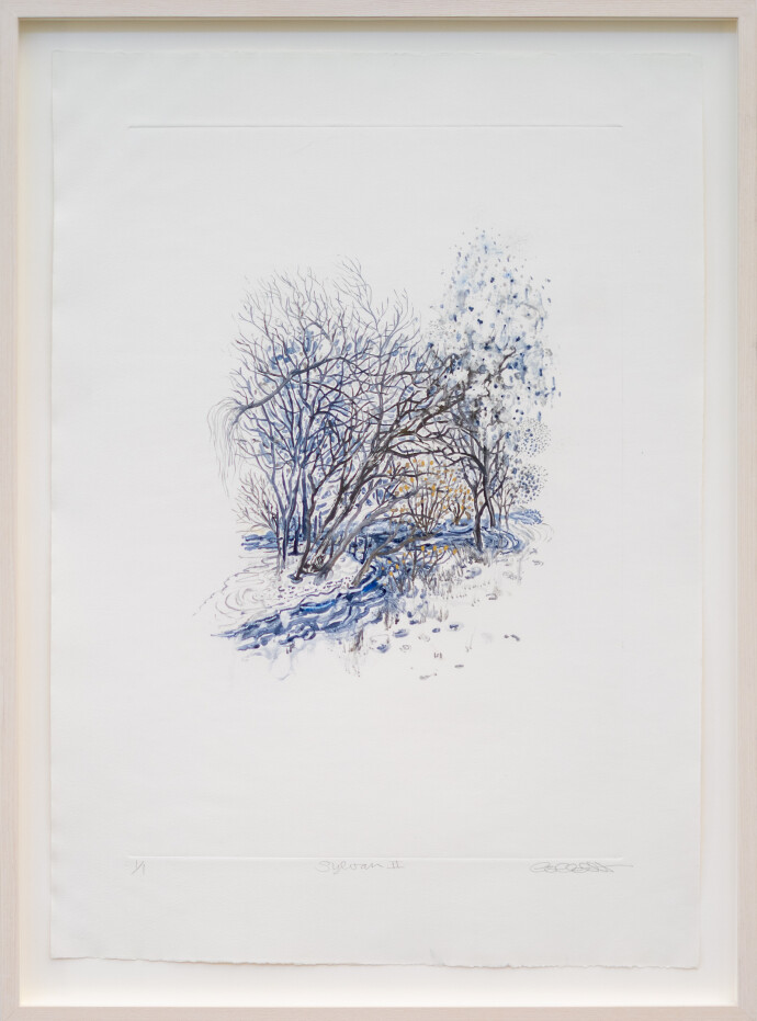 This unique nature print by Susan Collett features a sketch of the woods.