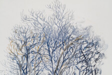 This unique nature print by Susan Collett features a sketch of the woods. Image 10