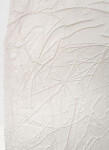 This unique embossed white print was inspired by nature and features tree imagery. Image 8