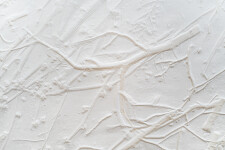 This unique embossed white print was inspired by nature and features tree branch imagery. Image 6