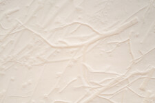 This unique embossed white print was inspired by nature and features tree imagery. Image 6