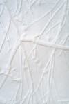 Parchment Series L Image 7