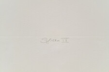 This unique nature print by Susan Collett features a sketch of the woods. Image 6