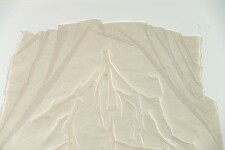 Parchment Series XXXIII Image 8