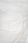 Parchment Series L Image 6