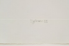 This unique nature print by Susan Collett features a sketch of the woods. Image 6