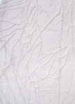 This unique embossed white print was inspired by nature and features tree imagery. Image 6