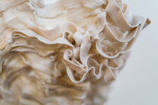 This contemporary sculptural indoor white porcelain vessel was made by Susan Collett. Image 11