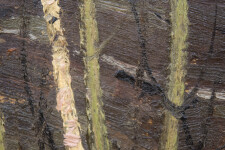 Poplar Point; Rock and Sun Image 9