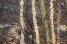 Poplar Point; Rock and Sun Image 8