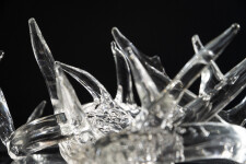 The distinctive and elegant shape of deer antlers emerges from hand-blown translucent glass to create this contemporary tabletop sculpture b… Image 9